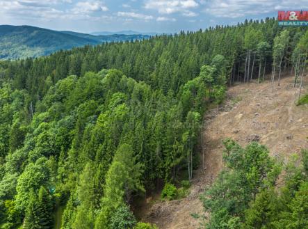 Prodej - pozemek, les, 6 696 m²