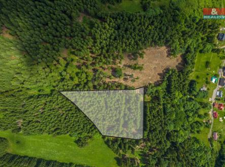 Prodej - pozemek, les, 6 696 m²
