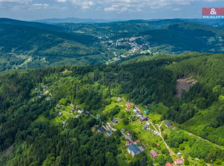 Prodej - pozemek, les, 6 696 m²