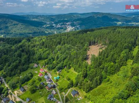Prodej - pozemek, les, 6 696 m²