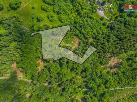 Prodej - pozemek, les, 6 085 m²