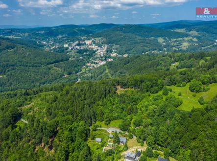 Prodej - pozemek, les, 6 085 m²