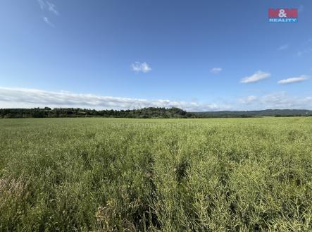 Prodej - pozemek, zemědělská půda, 8 056 m²