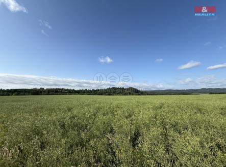 Prodej - pozemek, zemědělská půda, 8 056 m²