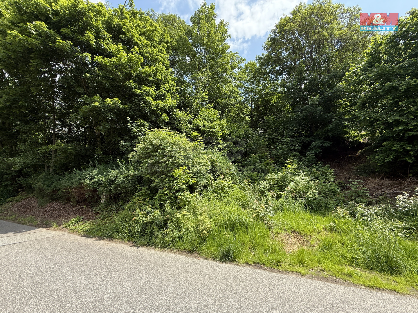 příjezdová komunikace