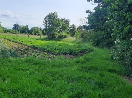 Prodej pozemku, zahrada, 1 622 m²