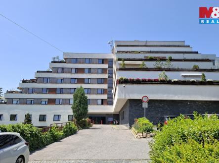 Prodej bytu, 1+kk, 16 m²