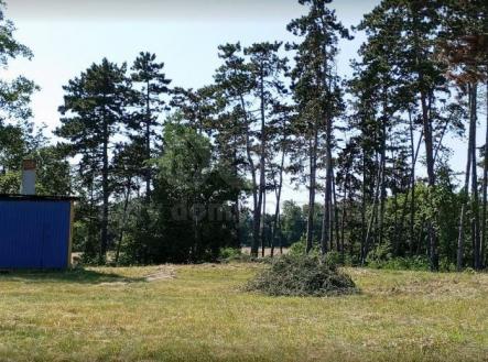 Prodej - pozemek, les, 3 111 m²
