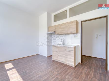 Pronájem bytu, 1+kk, 24 m²