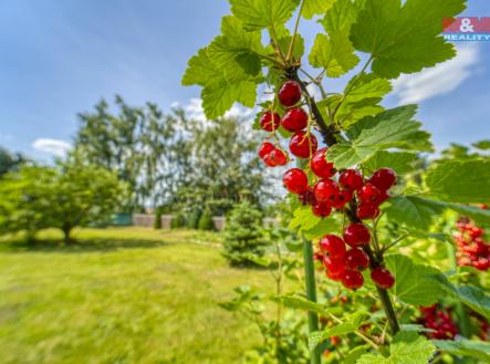 Prodej pozemku pro bydlení, 520 m²