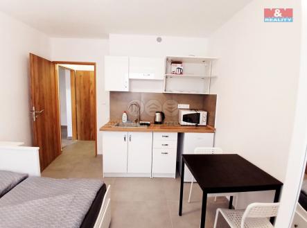 Pronájem bytu, 1+kk, 20 m²