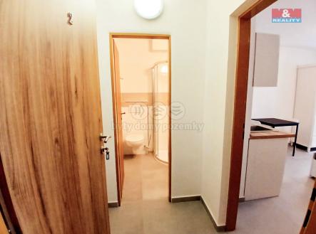 Pronájem bytu, 1+kk, 20 m²