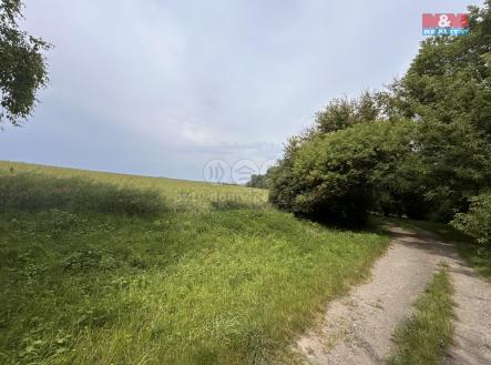 Prodej - pozemek, zemědělská půda, 10 932 m²