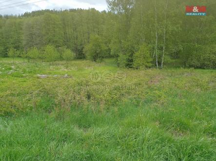 Prodej - pozemek, trvalý travní porost, 6 962 m²