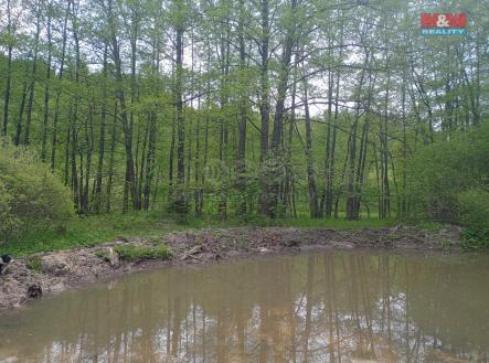Prodej - pozemek, trvalý travní porost, 6 962 m²