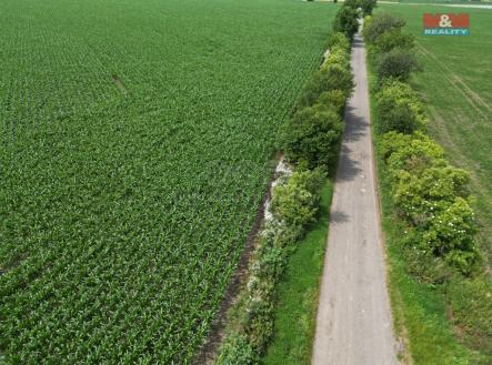 Prodej - pozemek, zemědělská půda, 8 491 m²