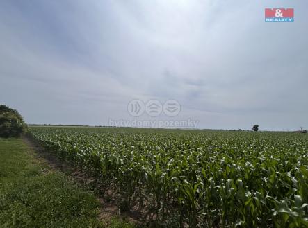 Prodej - pozemek, zemědělská půda, 8 491 m²