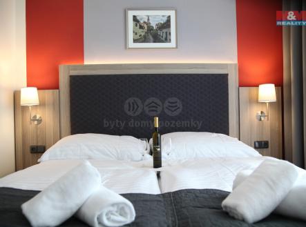 Prodej - hotel, 750 m²