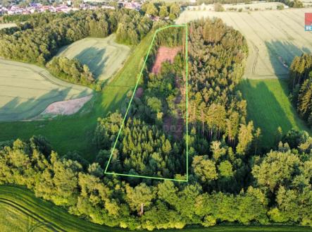 Prodej pozemku, les, 17 153 m²
