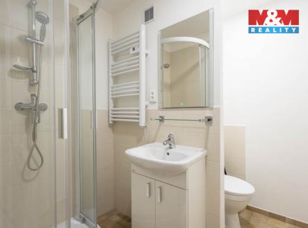 Pronájem bytu, 1+kk, 20 m²