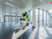 Pronájem kanceláře, 194 m²