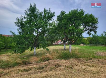 Prodej - pozemek, zahrada, 600 m²