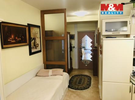 Pronájem bytu, 1+kk, 46 m²