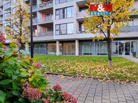 Pronájem kanceláře, 58 m²