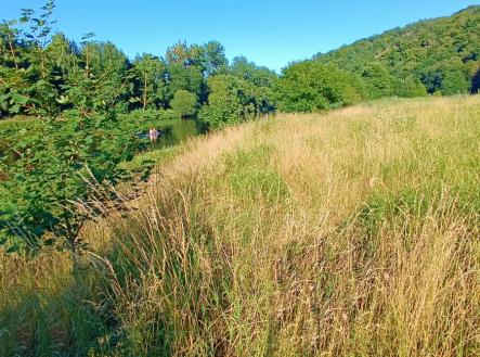 Prodej pozemku, trvalý travní porost, 1 665 m²