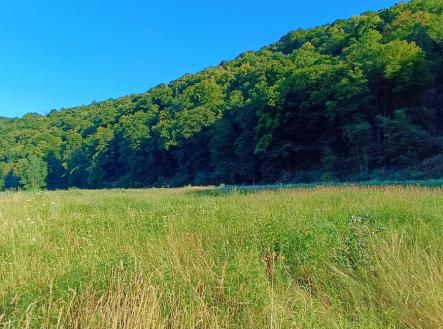 Prodej pozemku, trvalý travní porost, 1 665 m²
