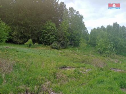 Prodej - pozemek, trvalý travní porost, 7 967 m²