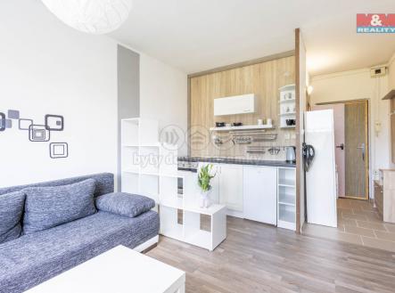 Pronájem bytu, 1+kk, 20 m²