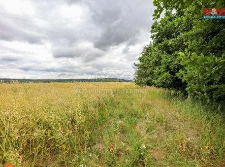 Prodej pozemku, zemědělská půda, 11 929 m²
