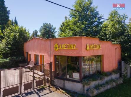 Prodej - pozemek pro komerční výstavbu, 11 113 m²