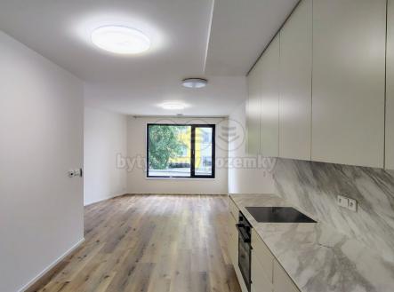 Pronájem bytu, 2+kk, 60 m²