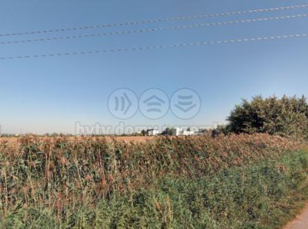 Prodej - pozemek, zemědělská půda, 3 449 m²