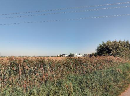 Prodej pozemku, zemědělská půda, 3 449 m²