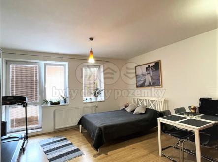 Prodej bytu, 1+kk, 33 m²