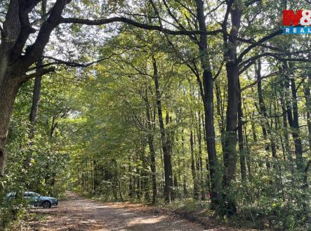 Prodej pozemku, les, 845 297 m²