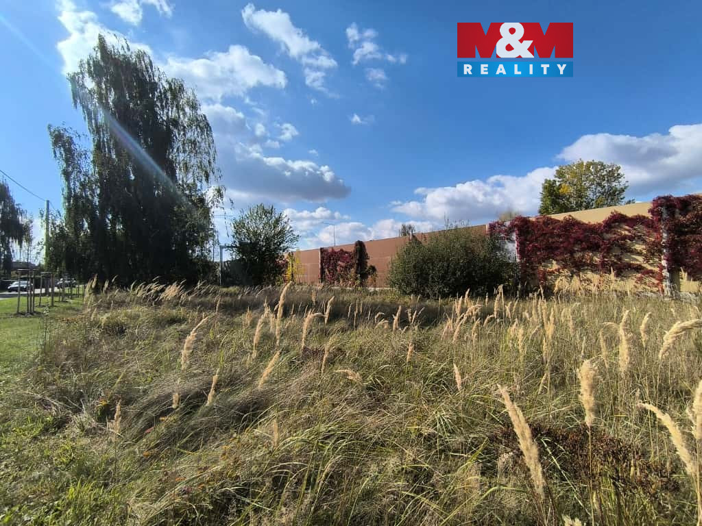 Obrázek WhatsApp, 2025-10-03 v 08.48.30_5e4acab4.jpg