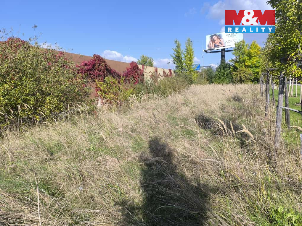 Obrázek WhatsApp, 2025-10-03 v 08.48.30_ce6d3bbc.jpg