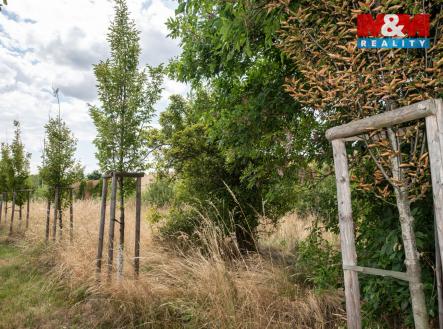 Pronájem pozemku, zahrada, 1 835 m²