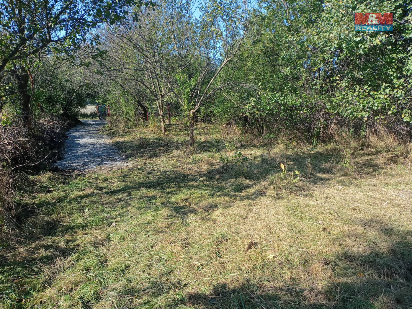 WhatsApp Image 2024-09-02 at 10.25.16 (5).jpeg