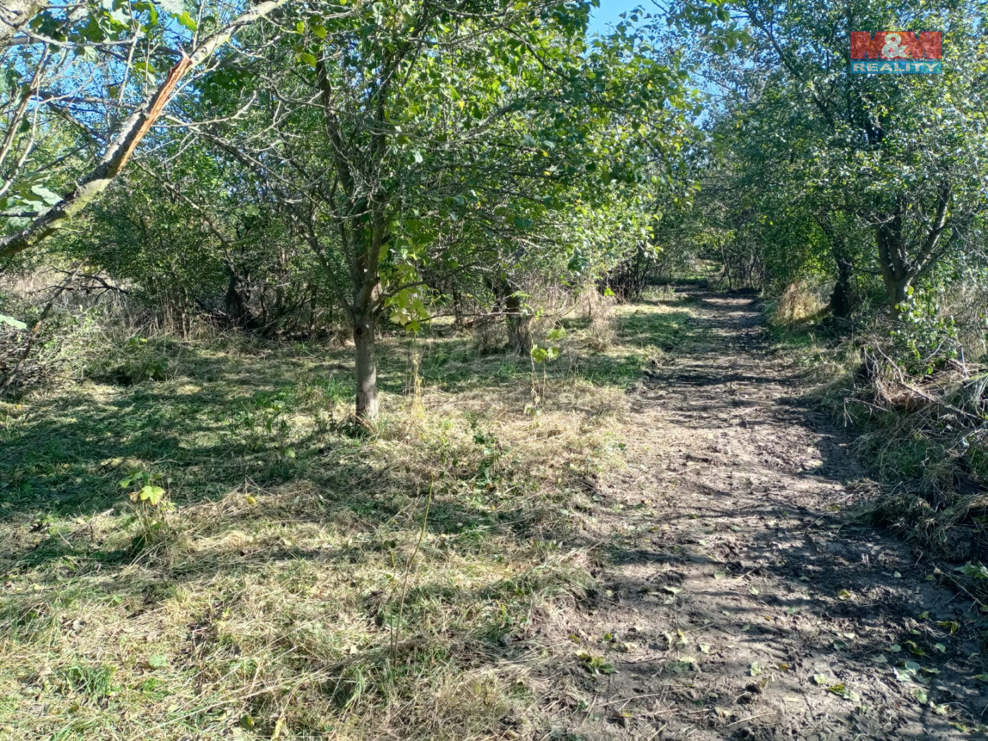 WhatsApp Image 2024-09-02 at 10.25.16 (3).jpeg