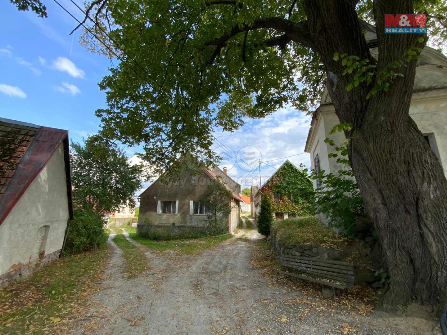 WhatsApp Image 2025-07-21 at 16.05.49.jpeg