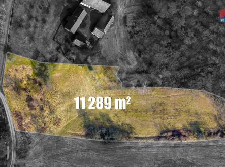 Prodej - pozemek, trvalý travní porost, 11 289 m²