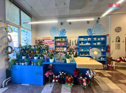 Pronájem obchodní prostor, 50 m²