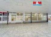 Pronájem obchodní prostor, 310 m²