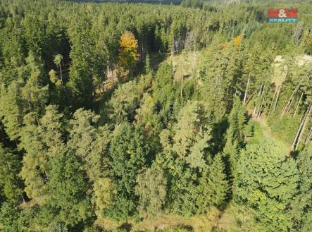 Prodej pozemku, les, 62 499 m²