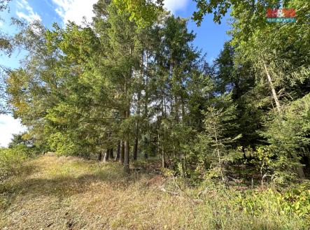 Prodej pozemku, les, 62 499 m²